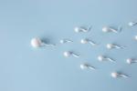 Automatisation de l’analyse de sperme, à partir du 1er décembre 2023 !